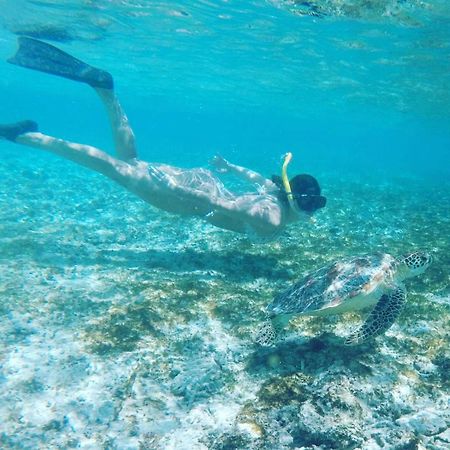 Tropical House Bungalows Gili Trawangan Zewnętrze zdjęcie